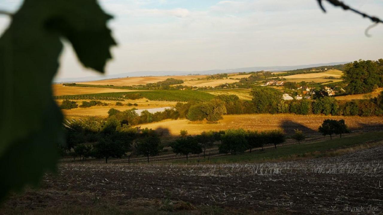 Ubytovani V Hovoranech Hovorany Extérieur photo