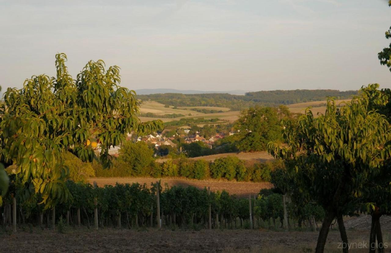 Ubytovani V Hovoranech Hovorany Extérieur photo
